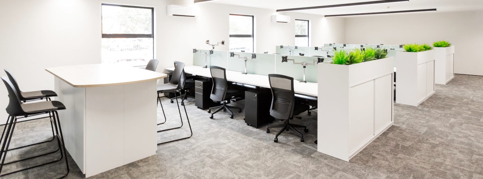 DIALOG Fitzroy Limited