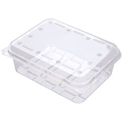 Berry Fruit SL500-H Punnet Lid Holes Only 500g 180x140x60mm Clear, Carton of 250 