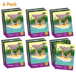 Junior Learning The Beanies Hi-Lo Diversity Decodables Phase 5 (Vowel Sounds), Set of 72 Books 