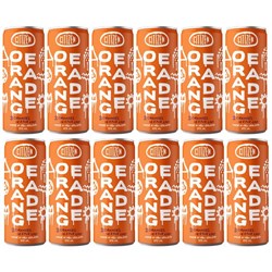 Citizen Orangeade 250ml, Pack of 12