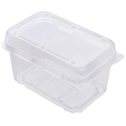 Berry Fruit K750-H Punnets 750g 115x98mm Clear, Carton of 200