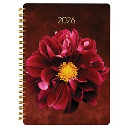 Collins A53 Diary A5 Week To View 2026 Dark Romantic Floral