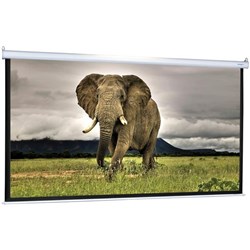 Boyd  SCMP80W Classic Projection Screen 1705 x 1065mm