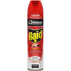 Raid One Shot Crawling Insect Surface Spray Odourless 450g
