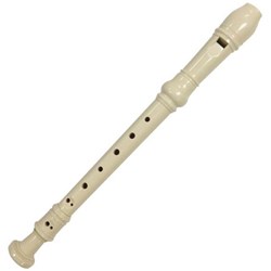 3 Piece Recorder Plastic with Carry Case