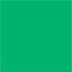 Quick Exercise Book Covers A4 Green 215x300mm