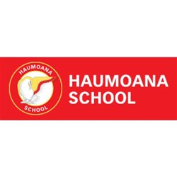 Haumoana School Room 8 Stationery Pack 2019