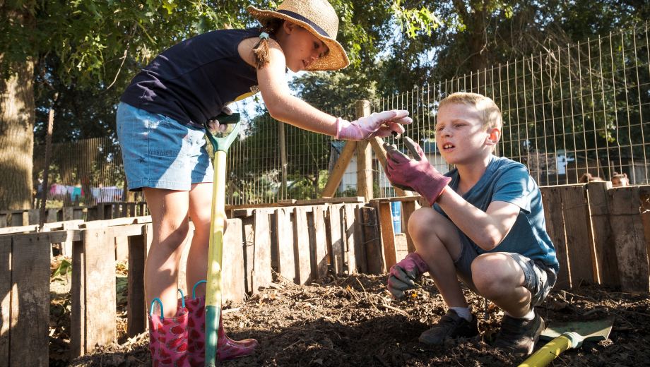 Lesson Plan | Comparing Decomposition of Plastic versus Paper Wrapping