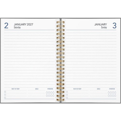 Collins A51 Diary A5 1 Day Per Page 2025 Enviro Assorted Colours