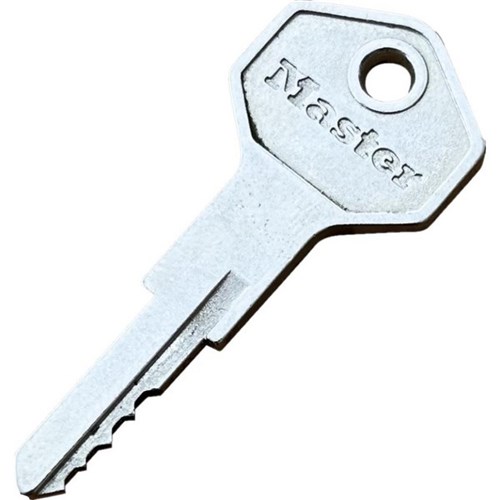 Master Padlock Override Key