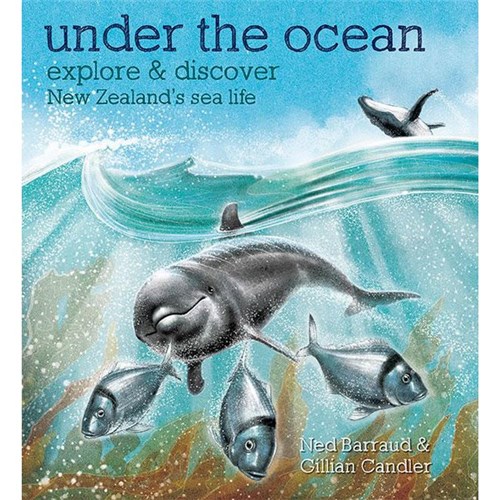 Under The Ocean Explore And Discover 9781927213087