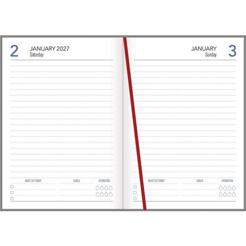 DIARY COLLINS A51 DAY PER PAGE FRUITS ASSORTED 2027
