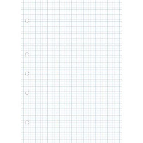 Warwick 14J8 A4 Graph Loose Leaf Refill 5mm Quad 40 Leaves