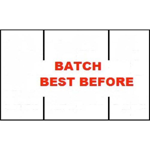 Saito Permanent Pricing Label Batch Best Before 003119 16.2x18mm, Roll of 1000