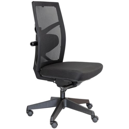 Tune Task Chair Mesh/Black Nylon Base